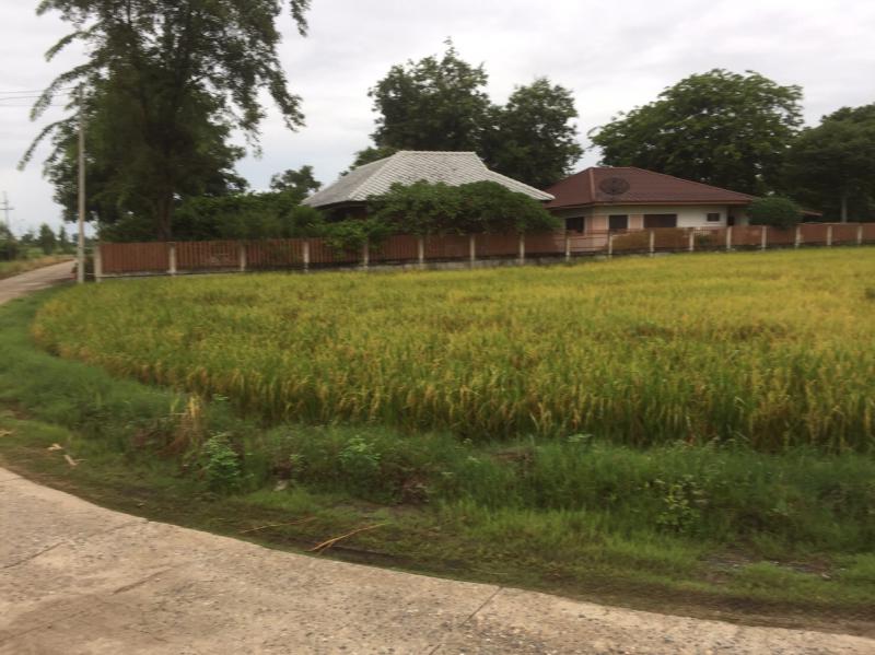 ที่ดิน 600000 สุพรรณบุรี เดิมบางนางบวช เขาดิน ที่ดิน 600000 สุพรรณบุรี เดิมบางนางบวช เขาดิน